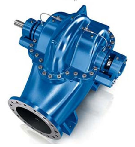 SS material pumps
