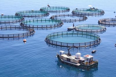 Aquaculture