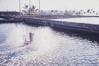 Circulation Pump